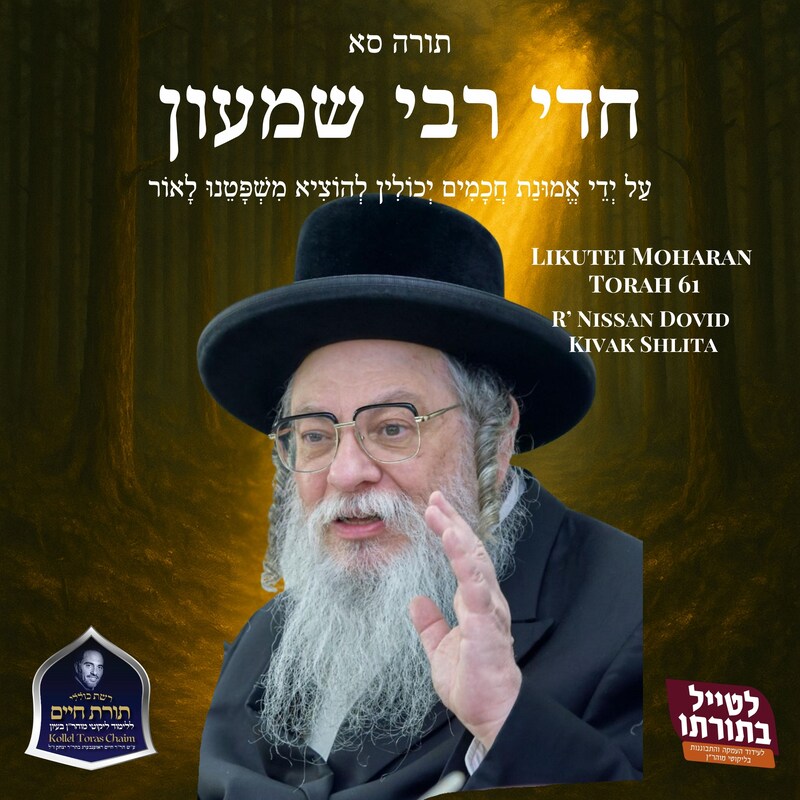 Artwork for podcast Kollel Toras Chaim All Shiurim