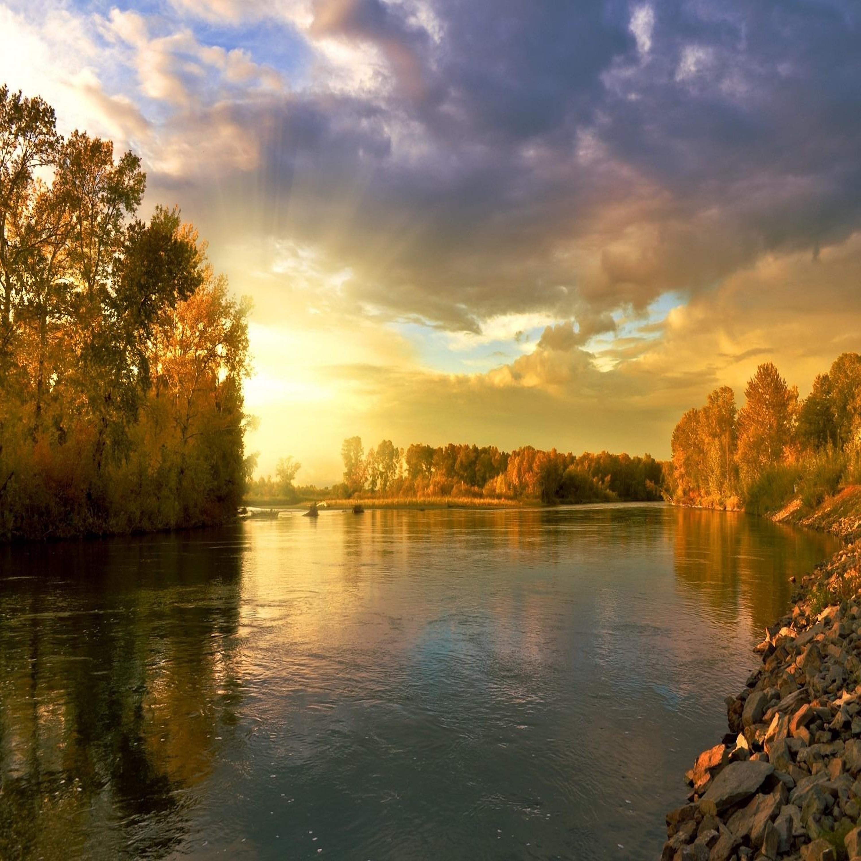 Celebrating the Autumn Equinox Live Campfire Nature Storytelling Special episode artwork