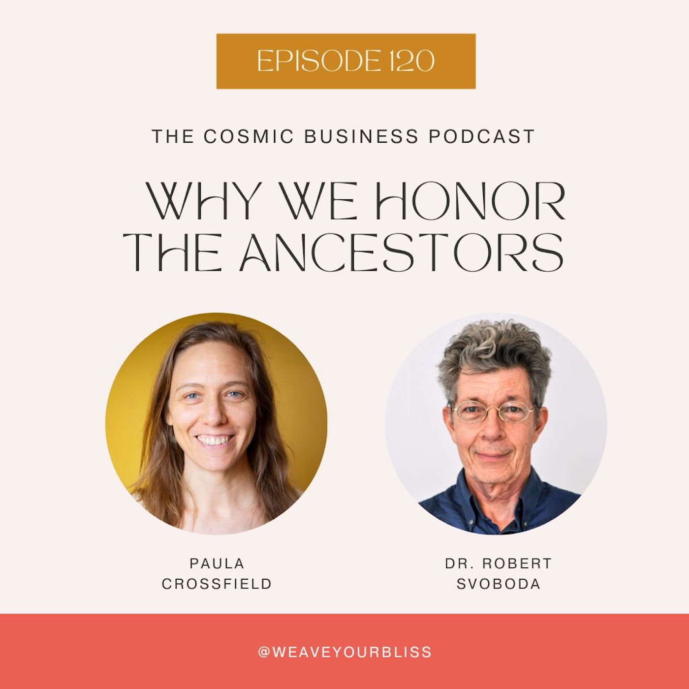 The Cosmic Business Podcast