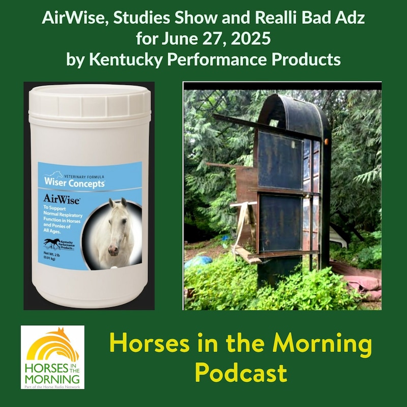 Artwork for podcast HORSES IN THE MORNING