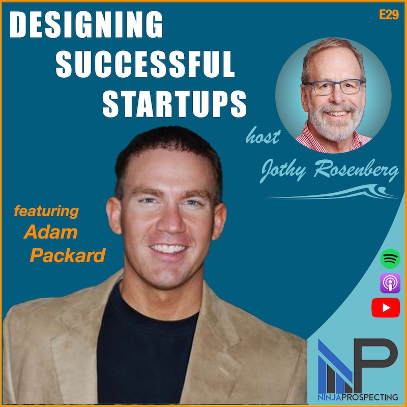 Artwork for podcast Designing Successful Startups