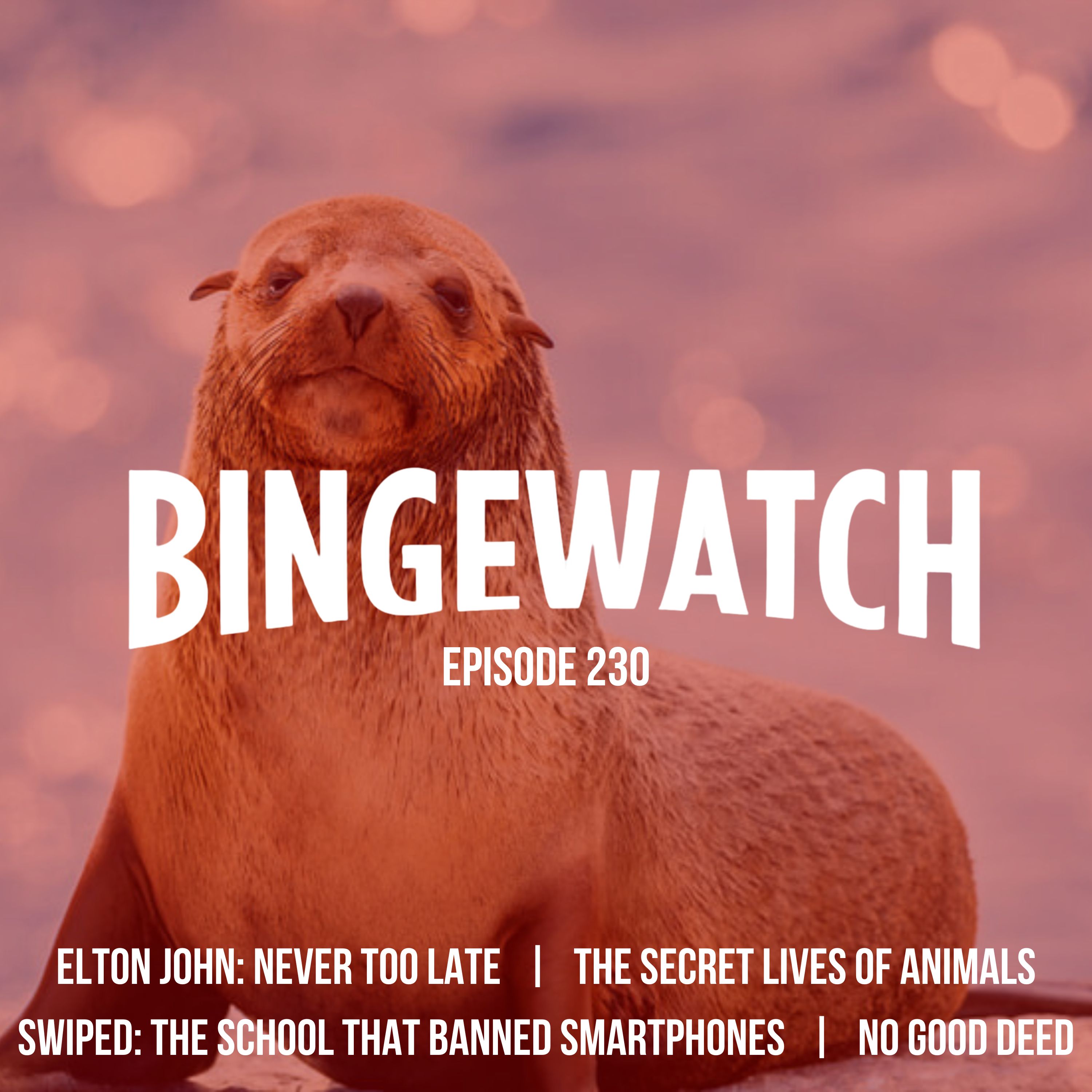Bingewatch