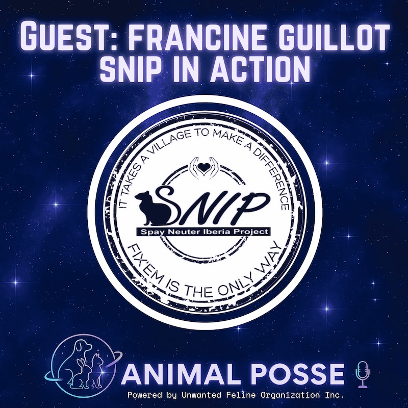 Artwork for podcast Animal Posse