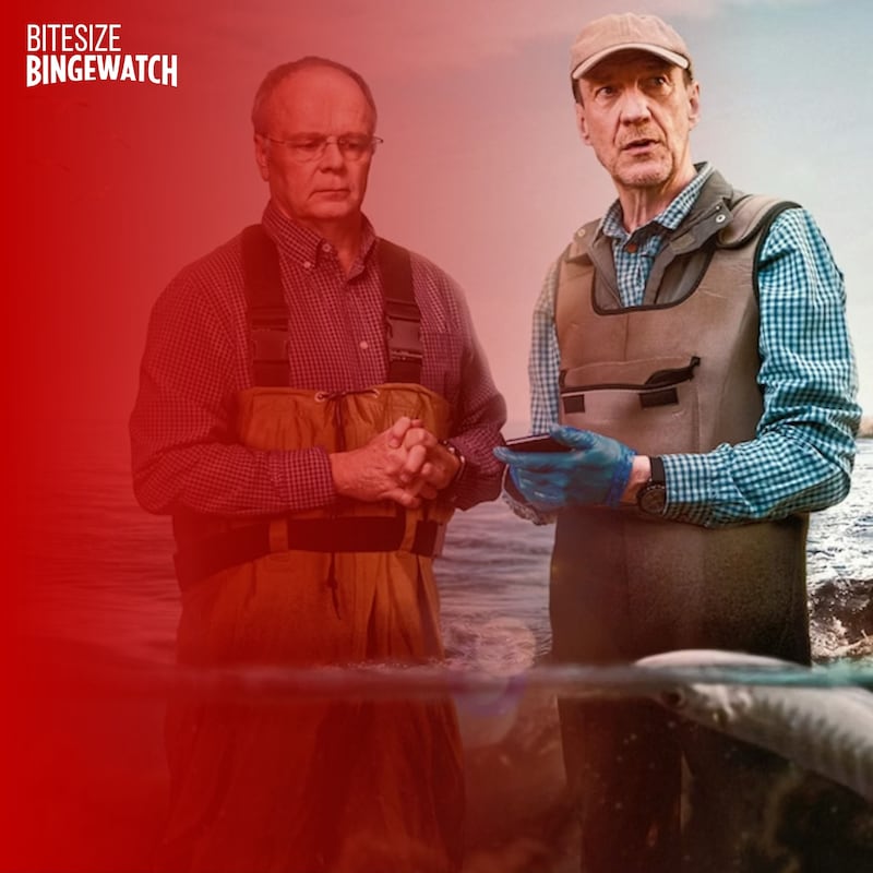Artwork for podcast Bitesize Bingewatch