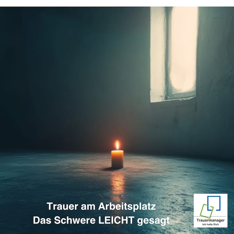 Artwork for podcast Das Schwere leicht gesagt