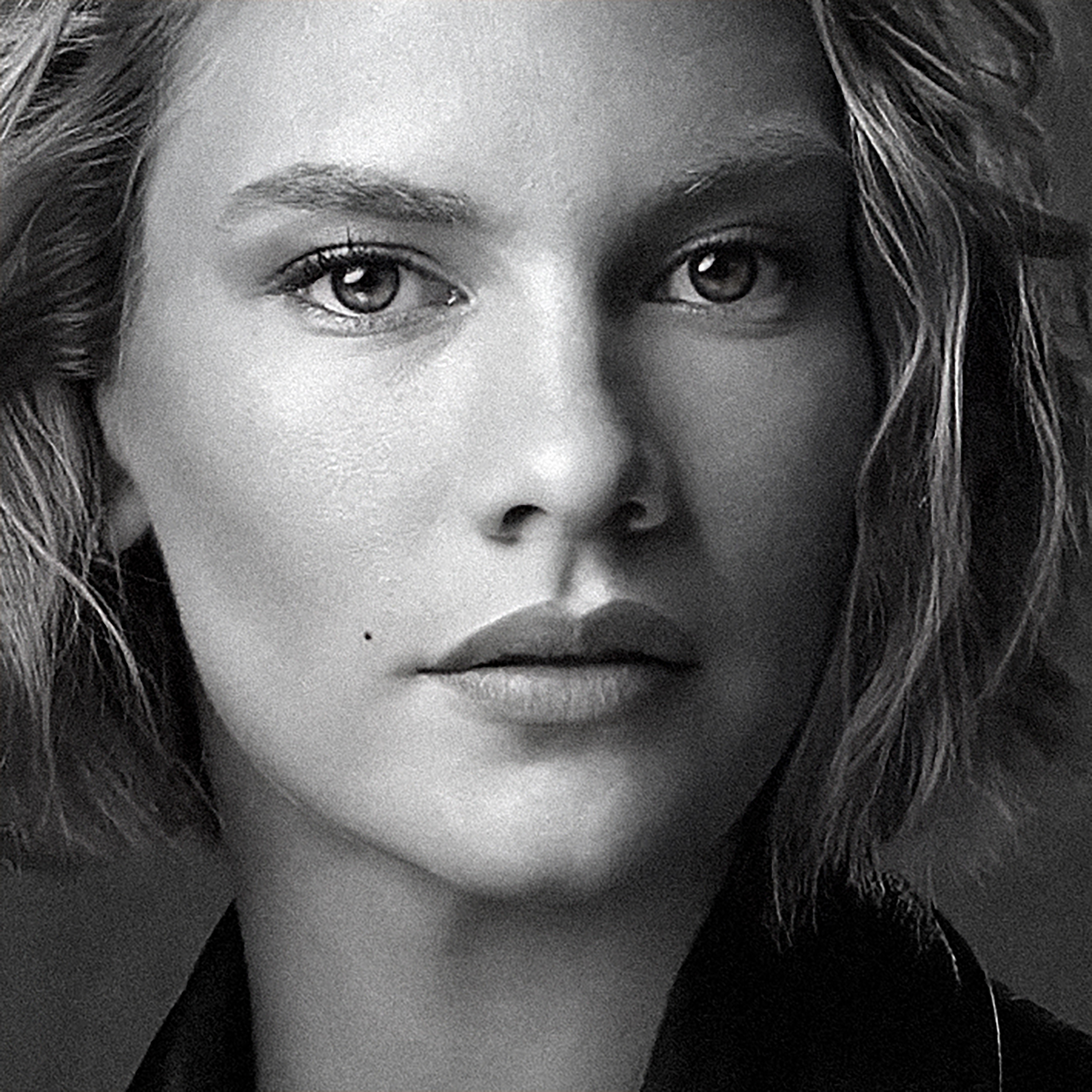 1167 / két róka eszik egy macskát, nápolyi, Kormos Anett