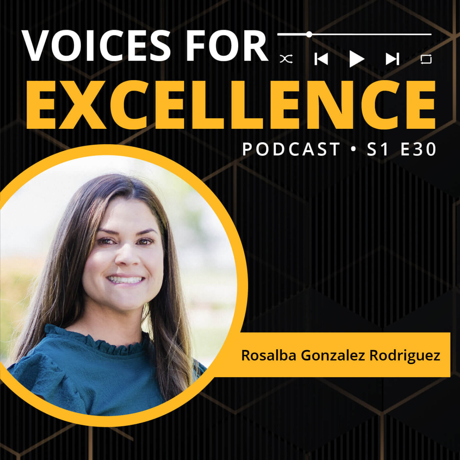 Voices for Excellence