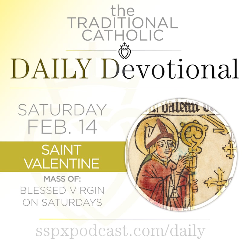 Artwork for podcast Traditional Catholic Daily Devotional