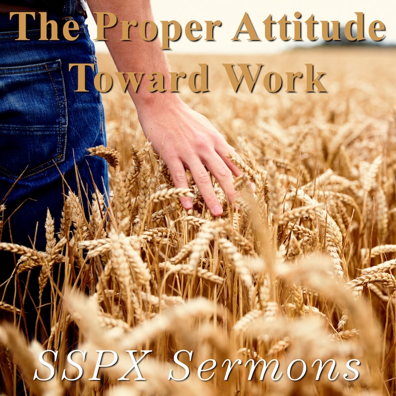 Artwork for podcast SSPX Sermons