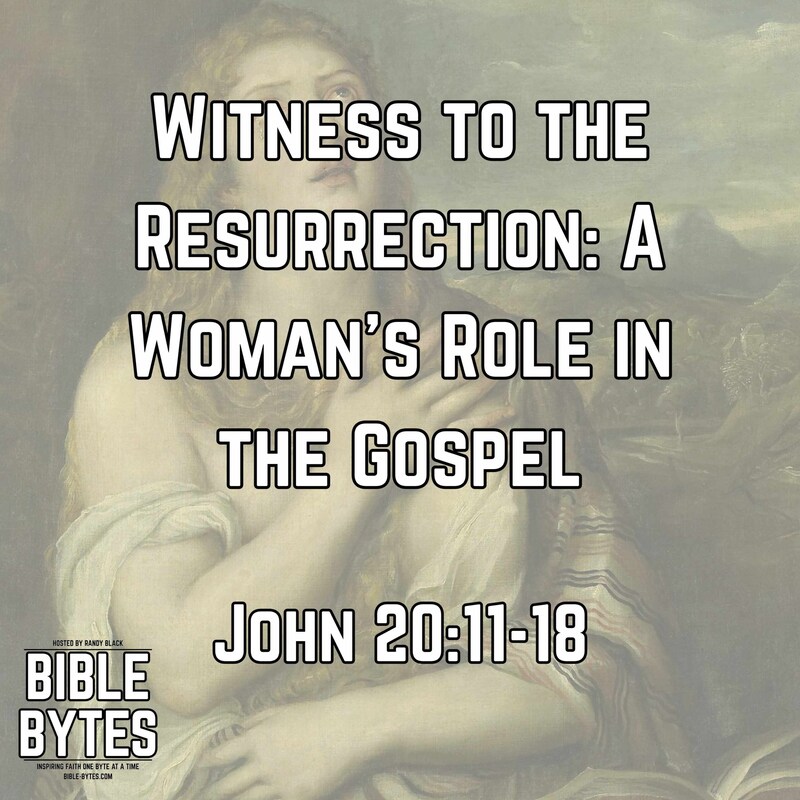 Artwork for podcast Bible Bytes
