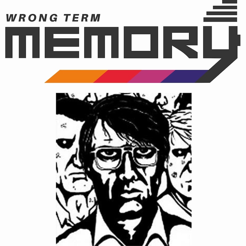 Artwork for podcast Wrong Term Memory