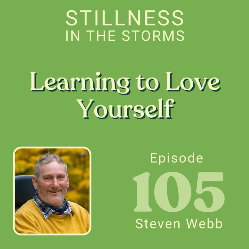 Artwork for podcast Stillness in the Storms