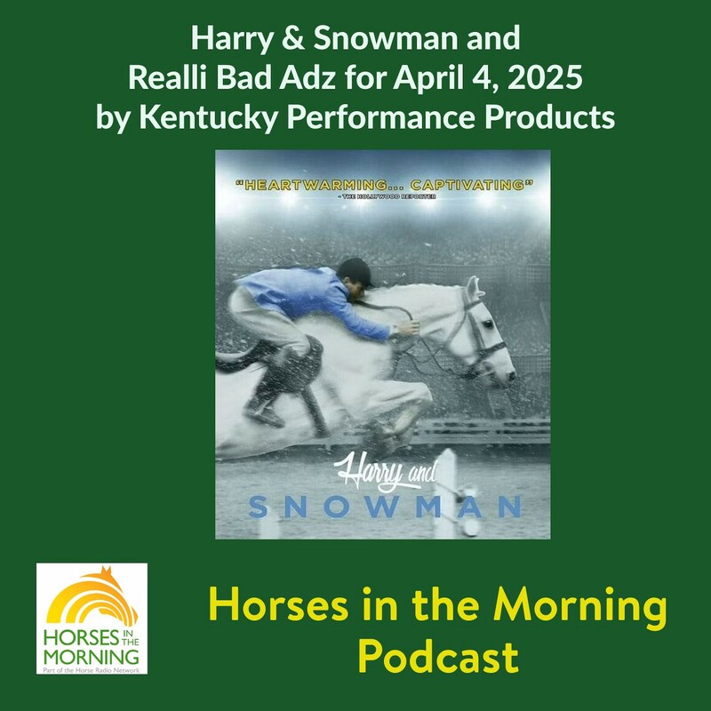 Artwork for podcast HRN Auditor Podcast