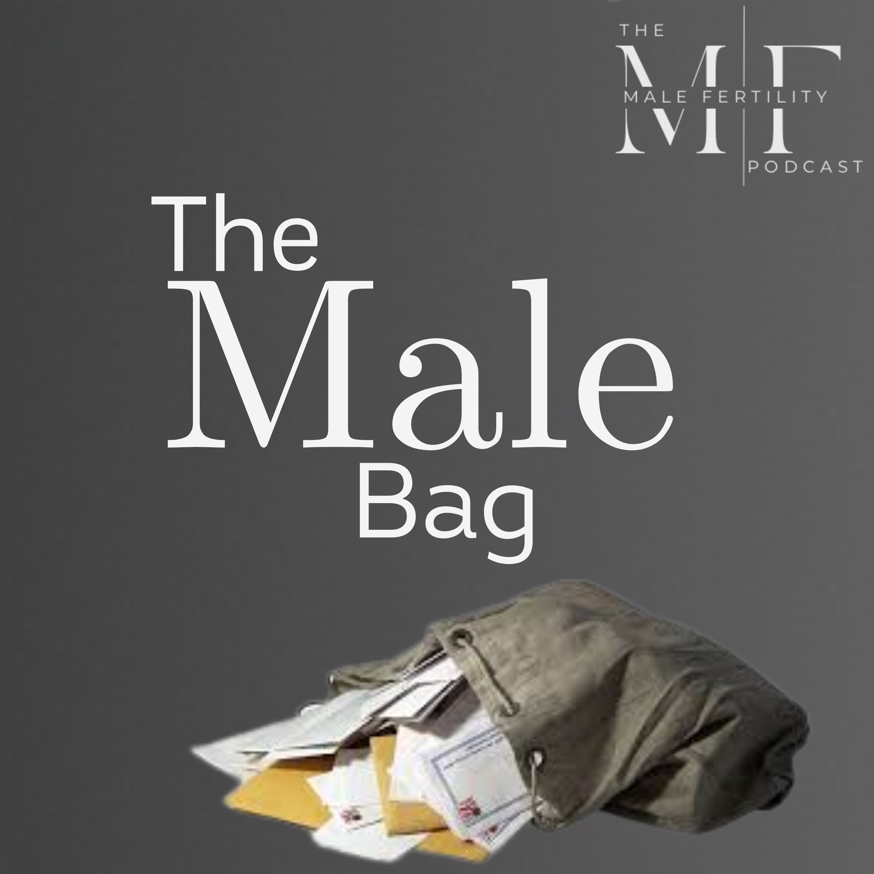 The Male Bag | Four Things I Wish I’d Known on My Fertility Journey episode artwork