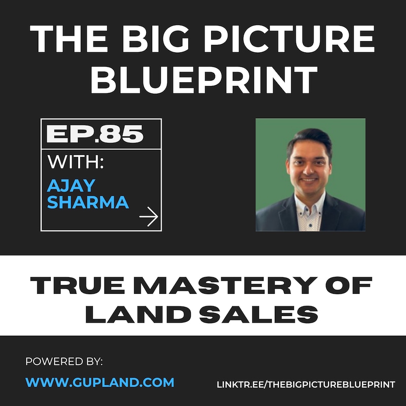 Artwork for podcast The Big Picture Blueprint: Navigating Land, Real Estate, and Business Success