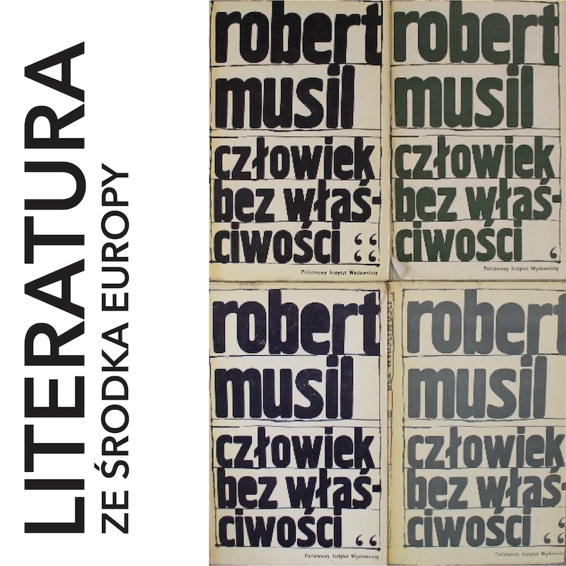 Artwork for podcast literatura ze środka Europy