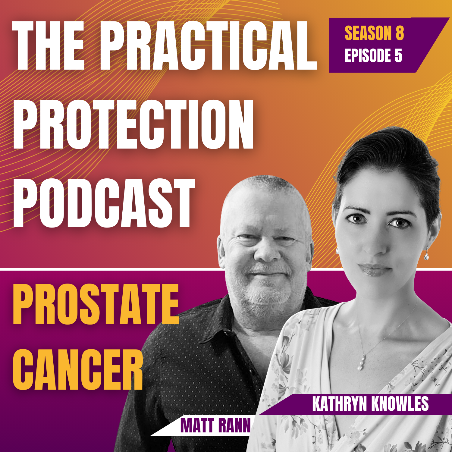 The Practical Protection Podcast