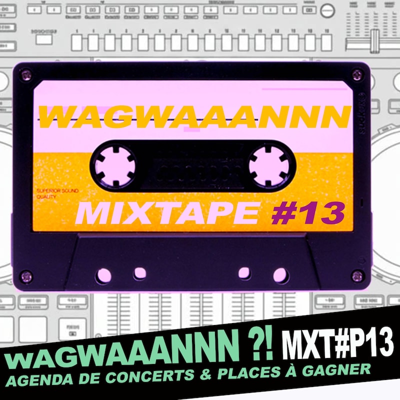 Artwork for podcast WAGWAAANNN ?!