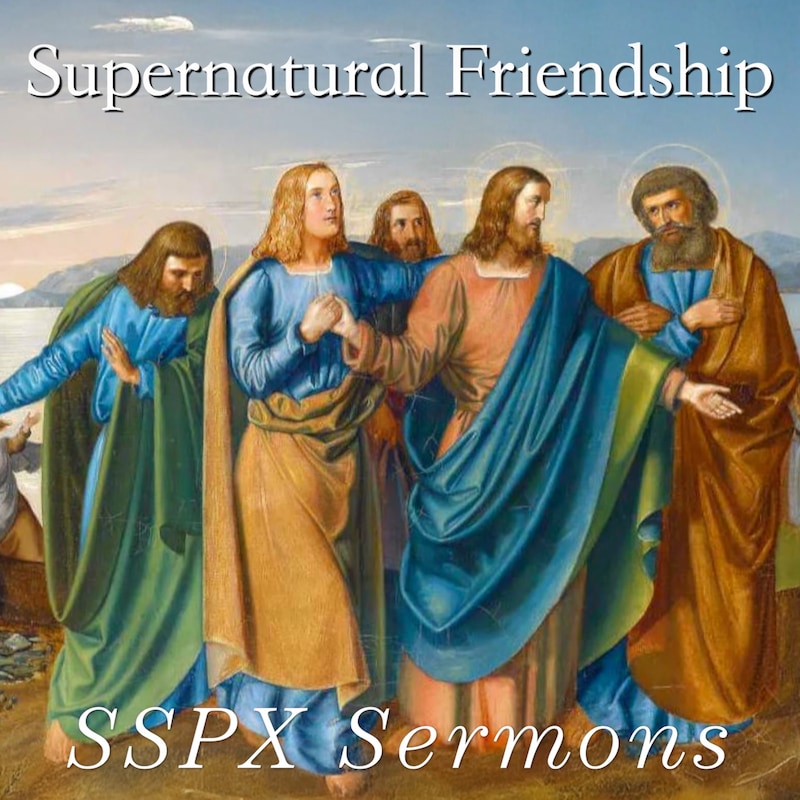 Artwork for podcast SSPX Sermons