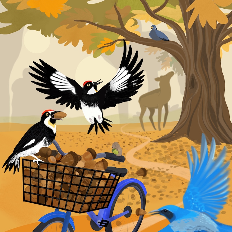 Artwork for podcast Future Ecologies