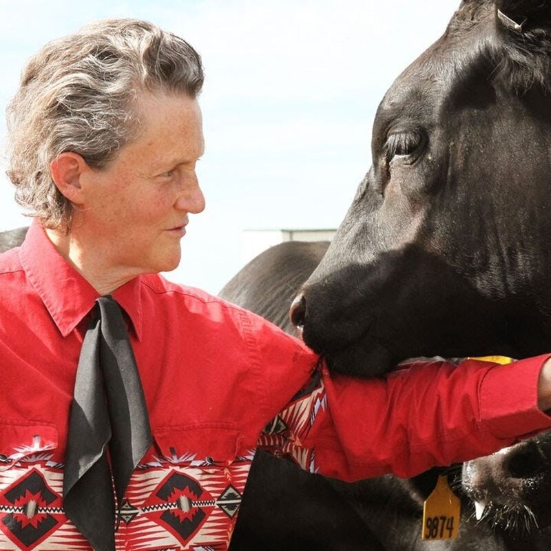 Artwork for podcast AHDB Food & Farming