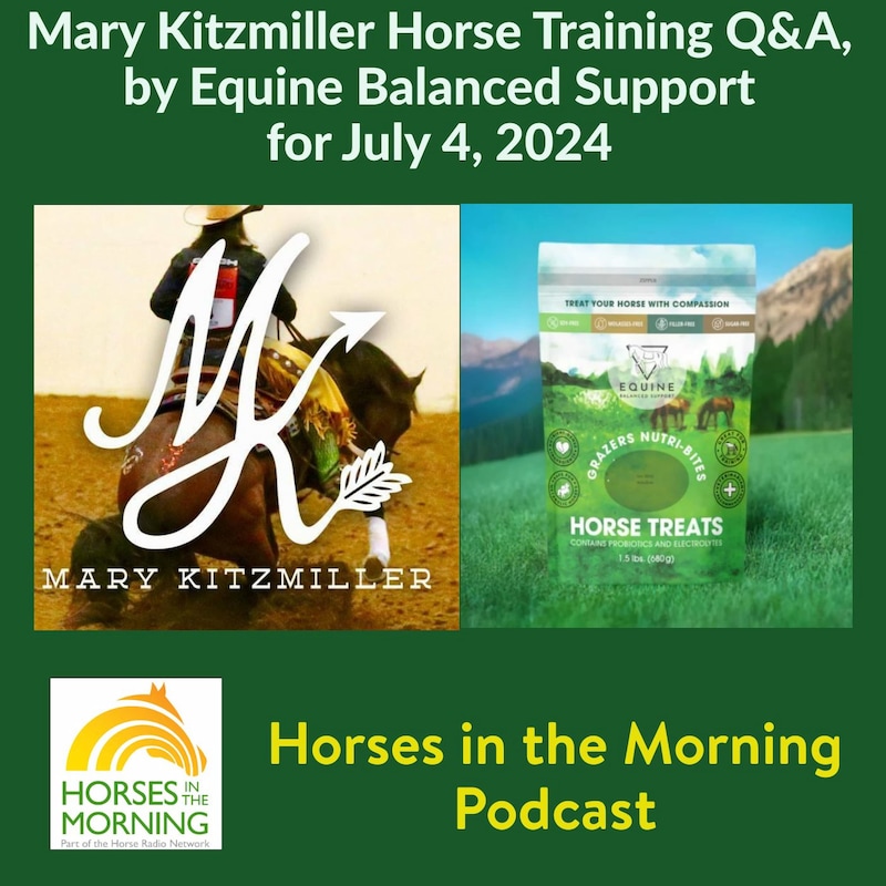 Artwork for podcast Horses in the Morning