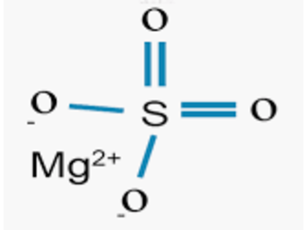Sound Health Options - Richard ~ TalkToMeGuy & Sharry Edwards