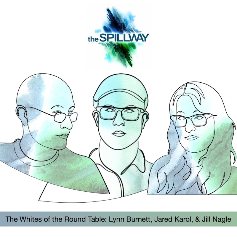 Artwork for podcast The Spillway