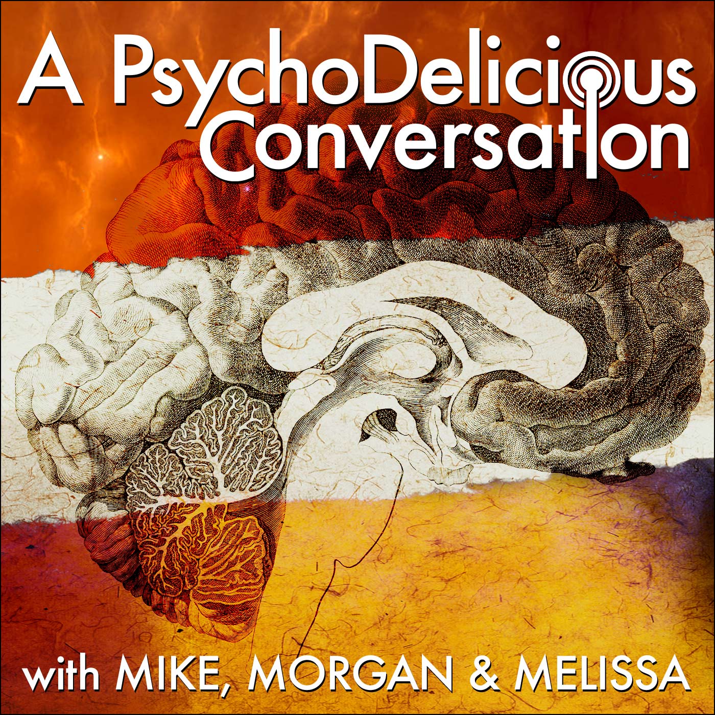 Artwork for A PsychoDelicious Conversation