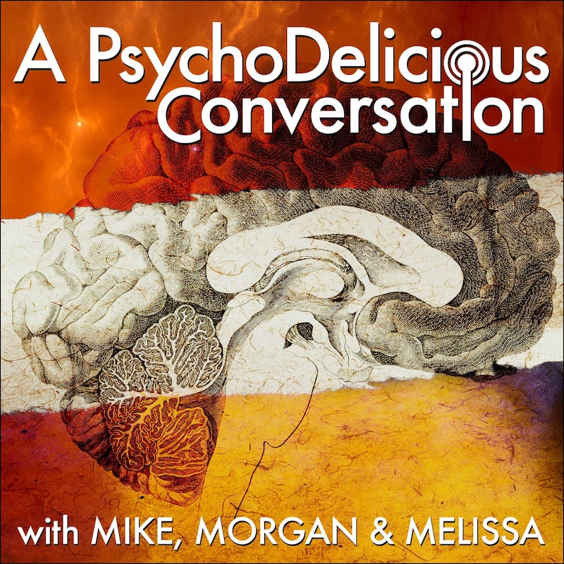 Artwork for podcast A PsychoDelicious Conversation