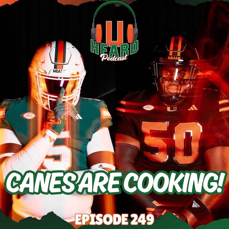 Artwork for podcast U Heard