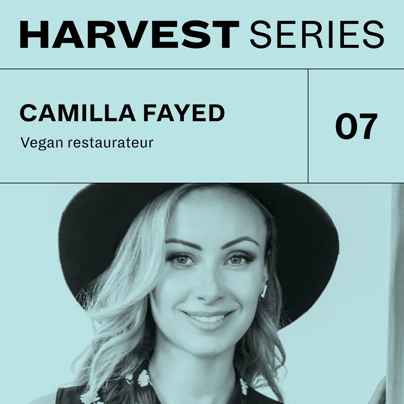 Artwork for podcast Harvest Series