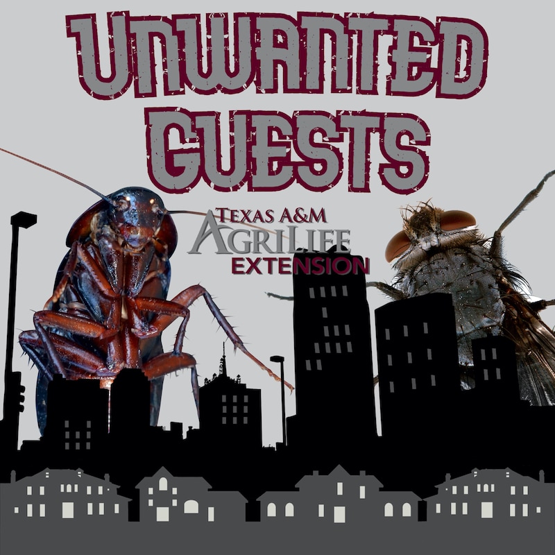 Artwork for podcast Unwanted Guests