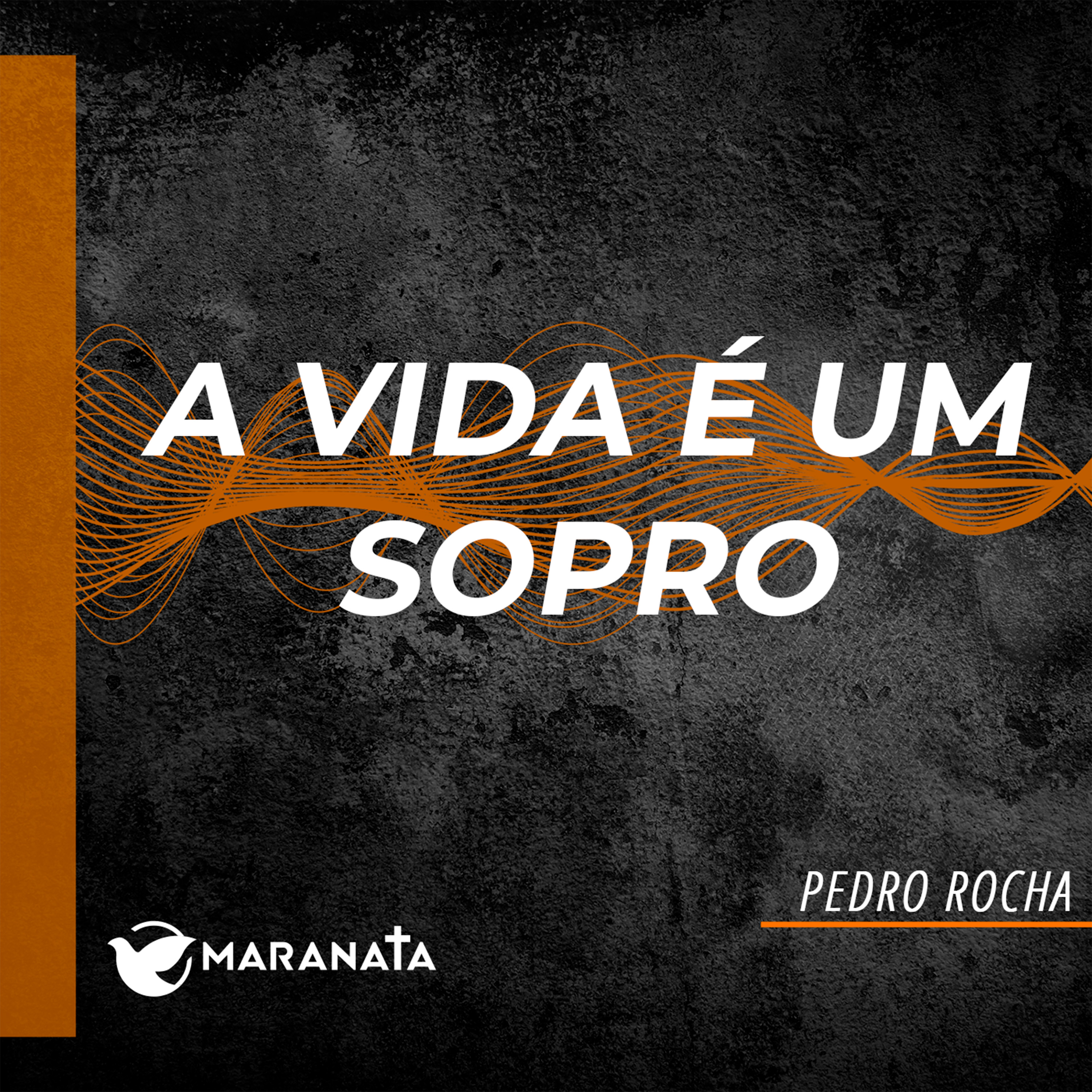 A vida é um sopro - Pedro Rocha