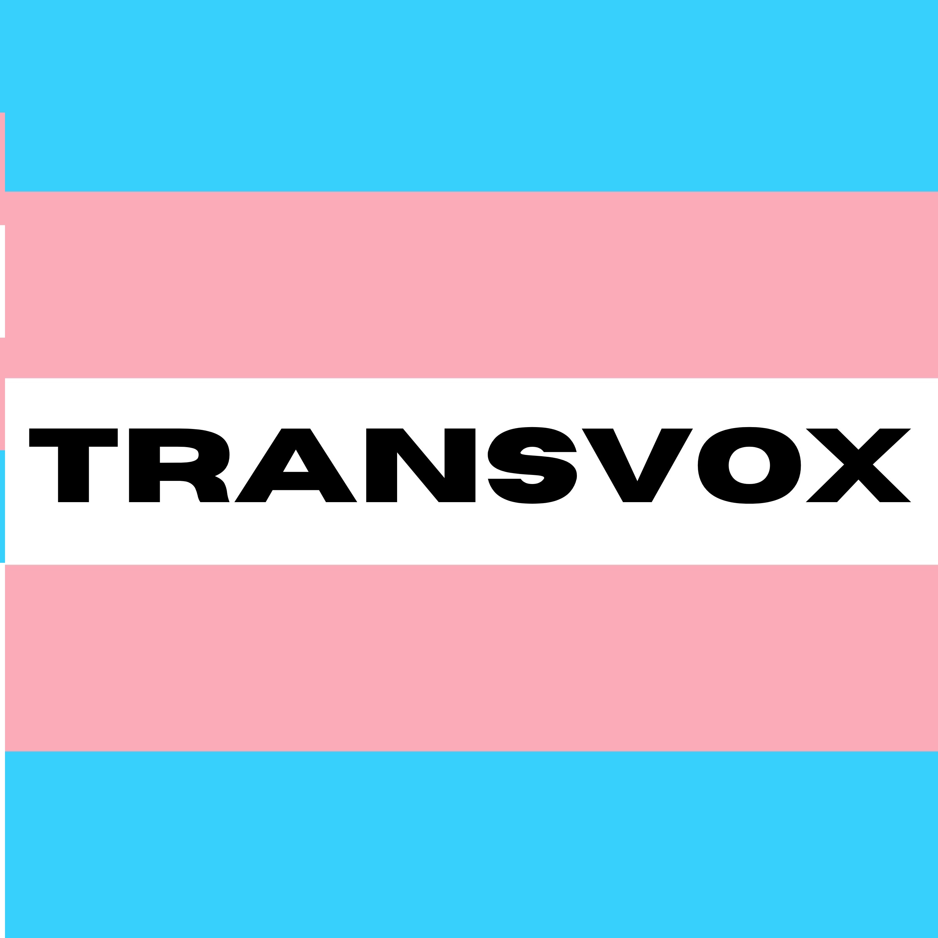 Show artwork for Transvox