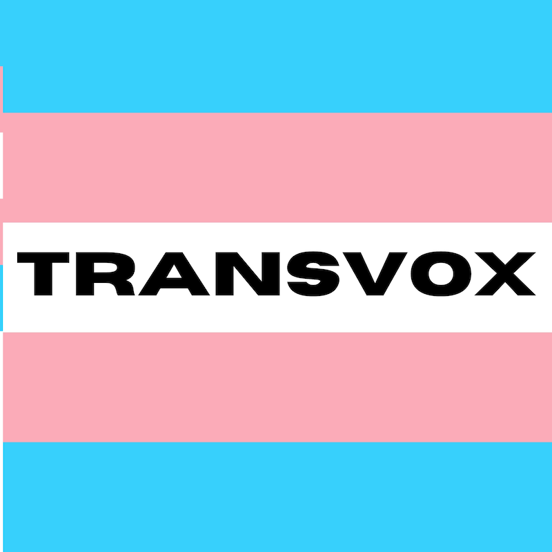 Artwork for podcast Transvox
