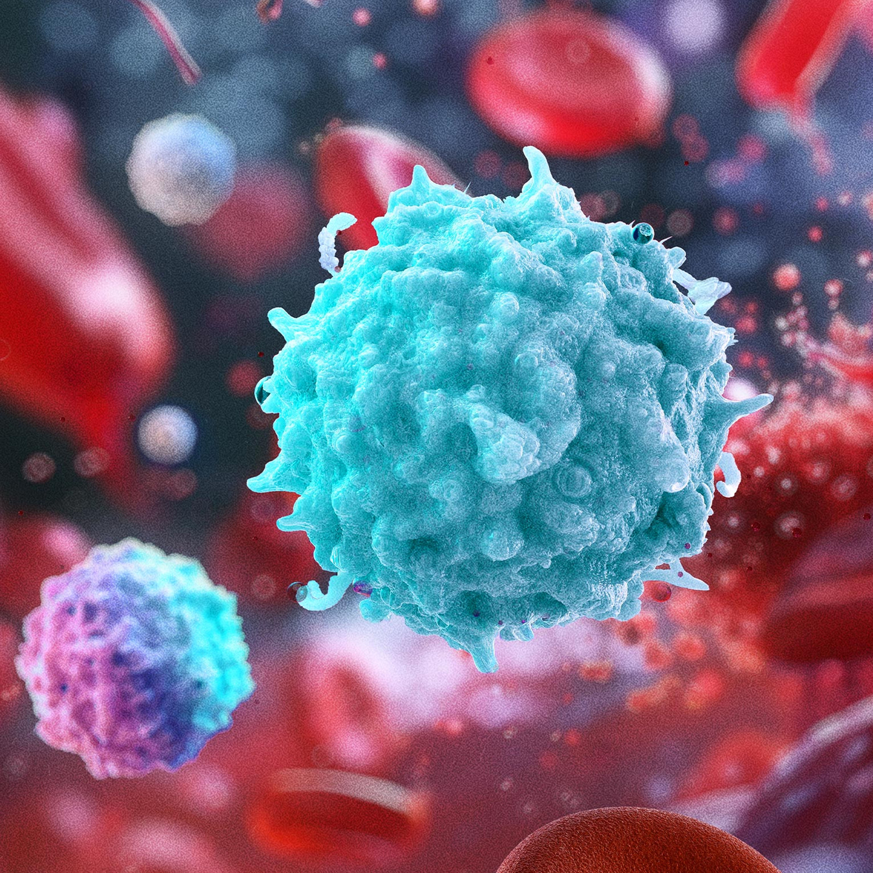 What’s Holding Your Immune System Back–and How Do You Fix It?