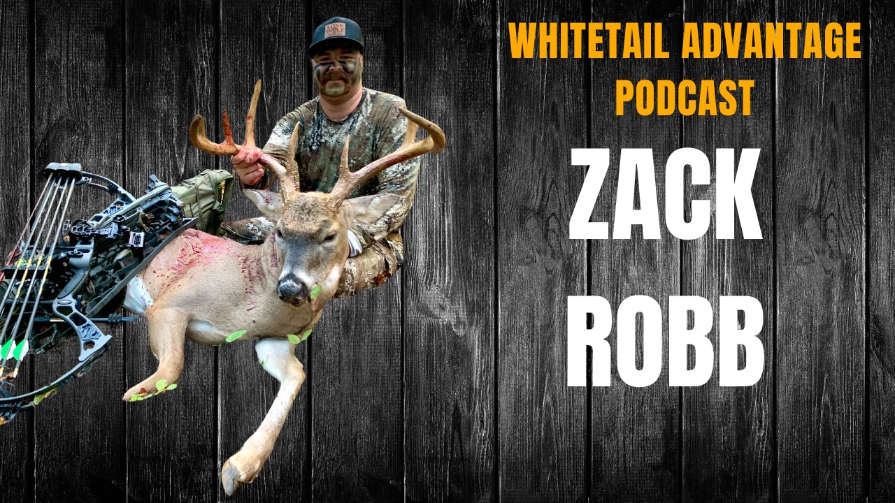 Ep 127 / How To Hunt Virginia