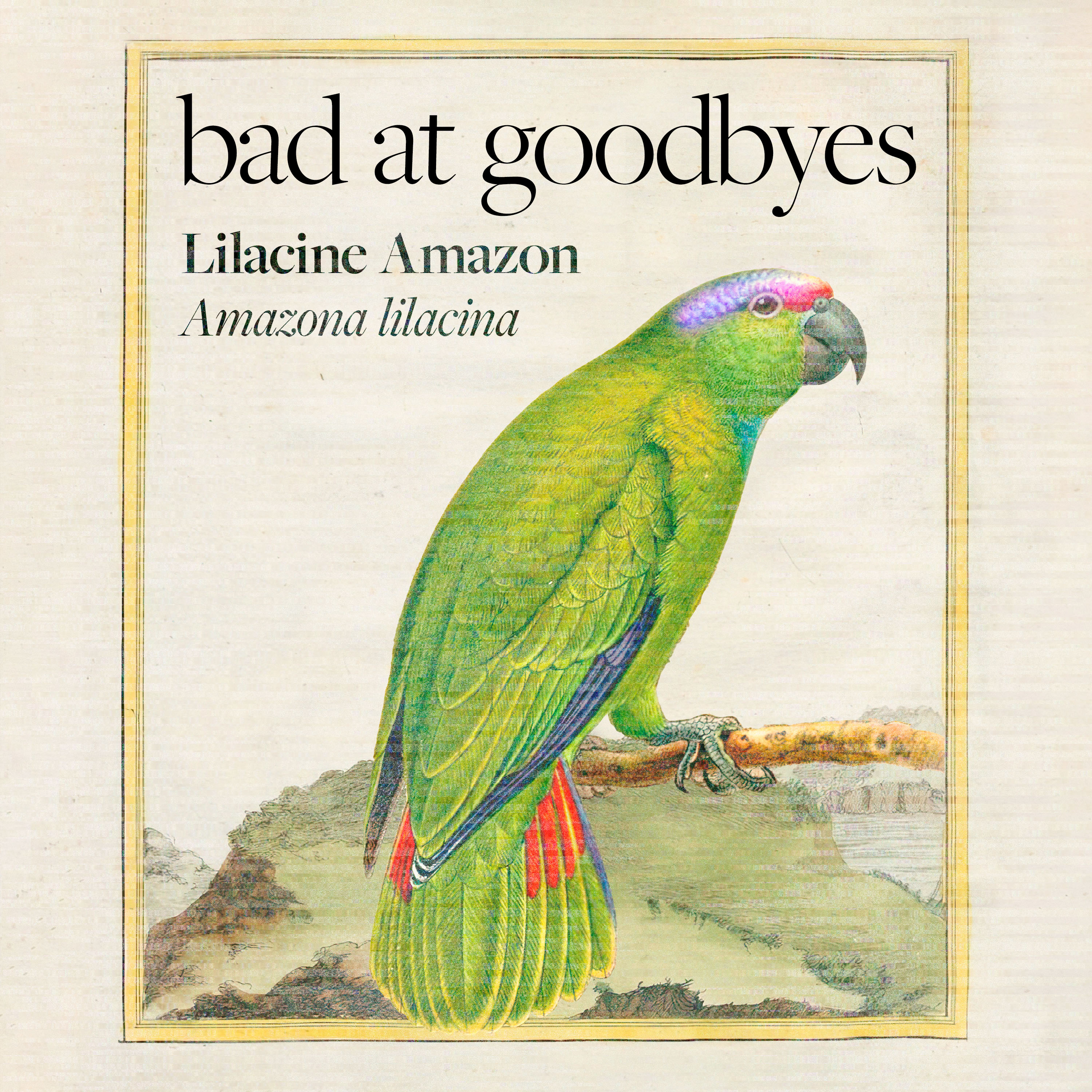 Bad at Goodbyes