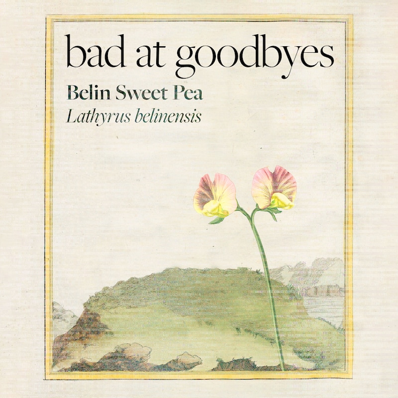 Artwork for podcast Bad at Goodbyes