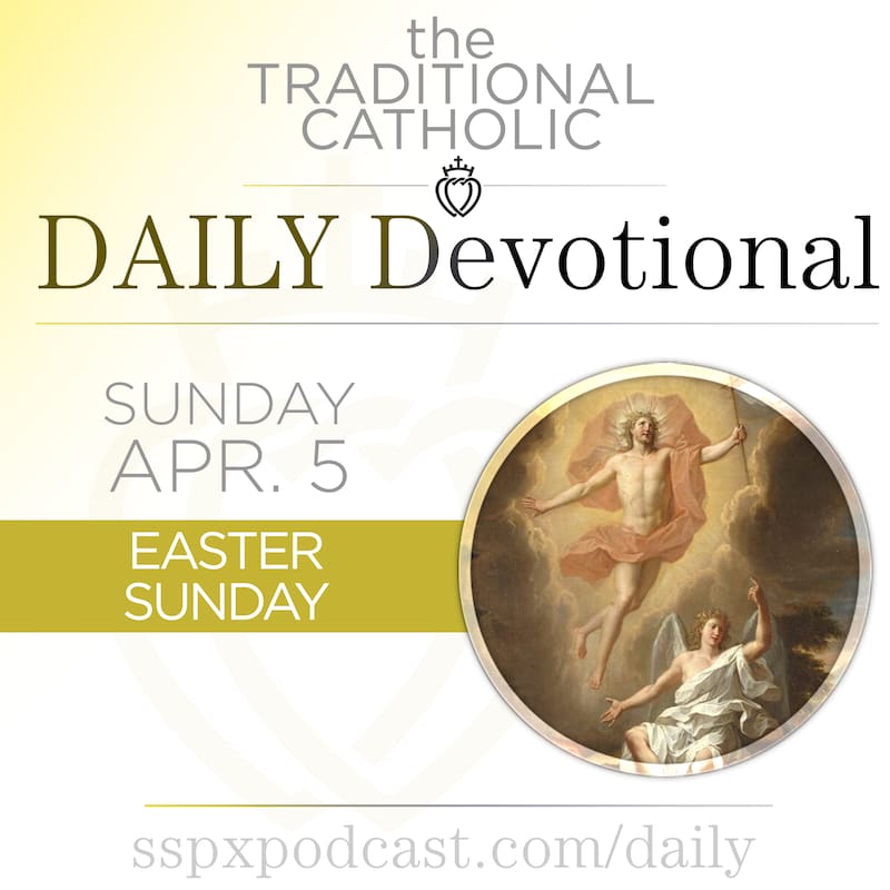 Artwork for podcast Traditional Catholic Daily Devotional