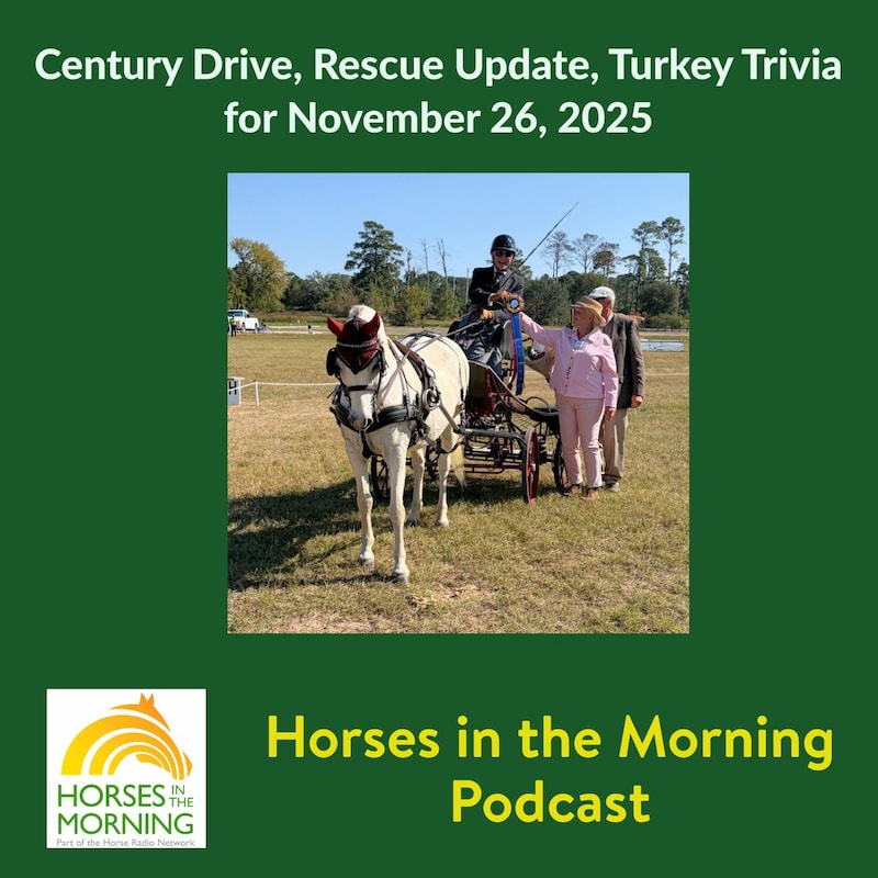 Artwork for podcast American Horse Council Podcast