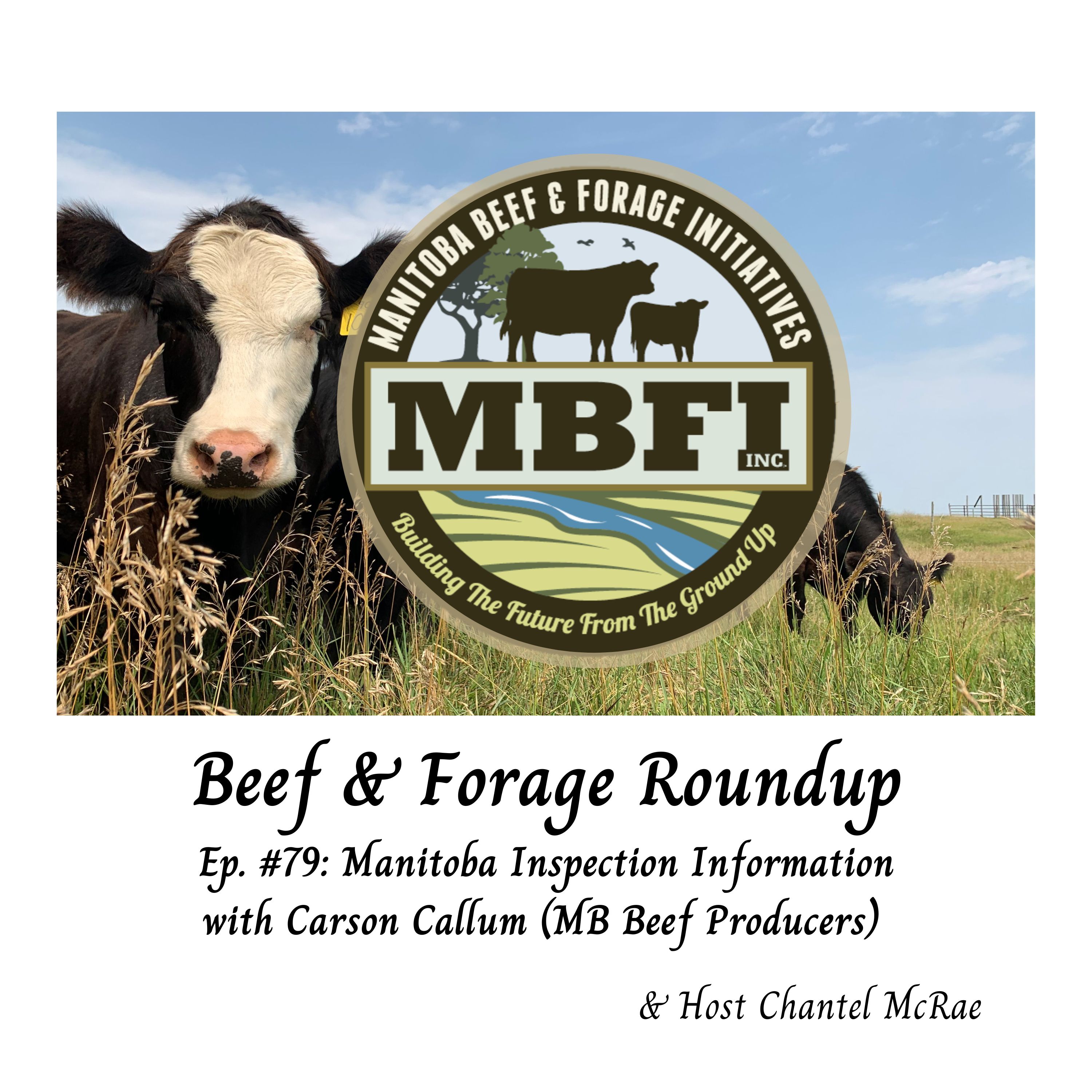 Beef and Forage Roundup