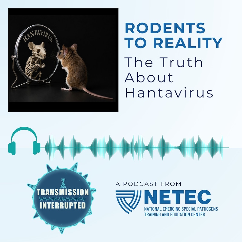Artwork for podcast Transmission Interrupted