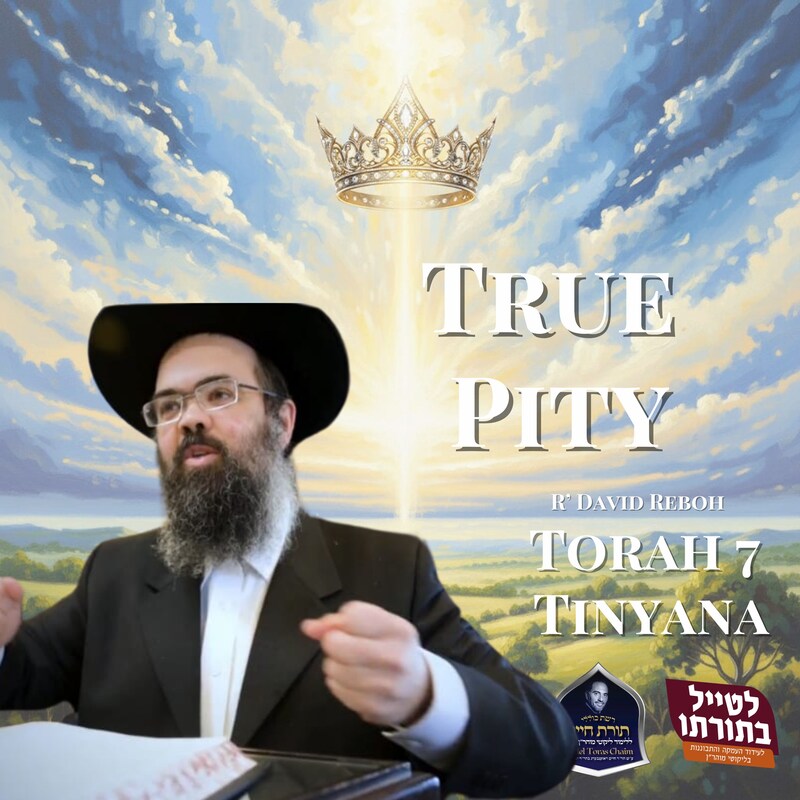 Artwork for podcast Kollel Toras Chaim All Shiurim