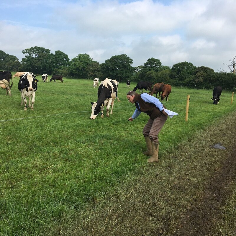 Artwork for podcast AHDB Food & Farming