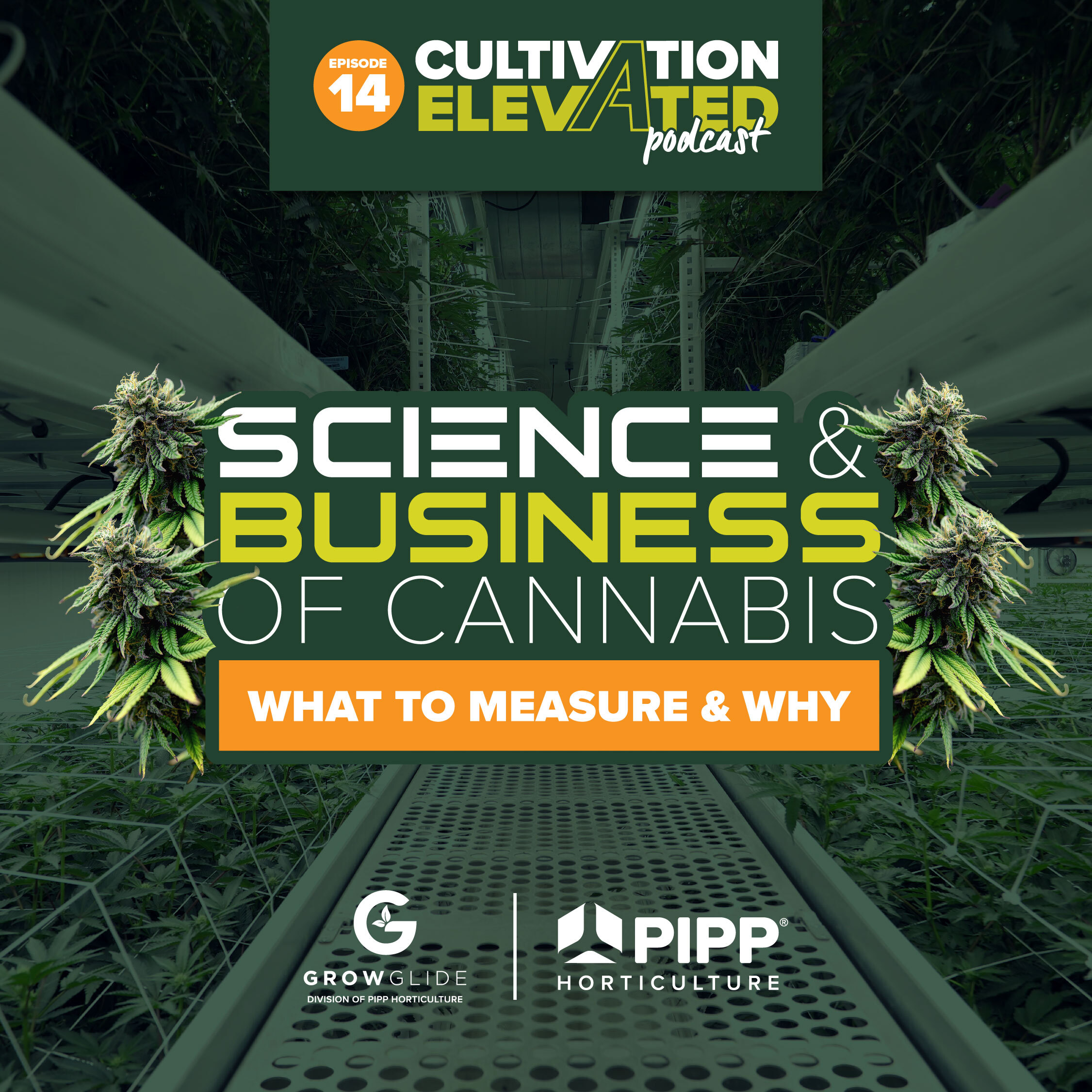 Cultivation Elevated - Indoor Farming, Cannabis Growers & Cultivators - Pipp Horticulture