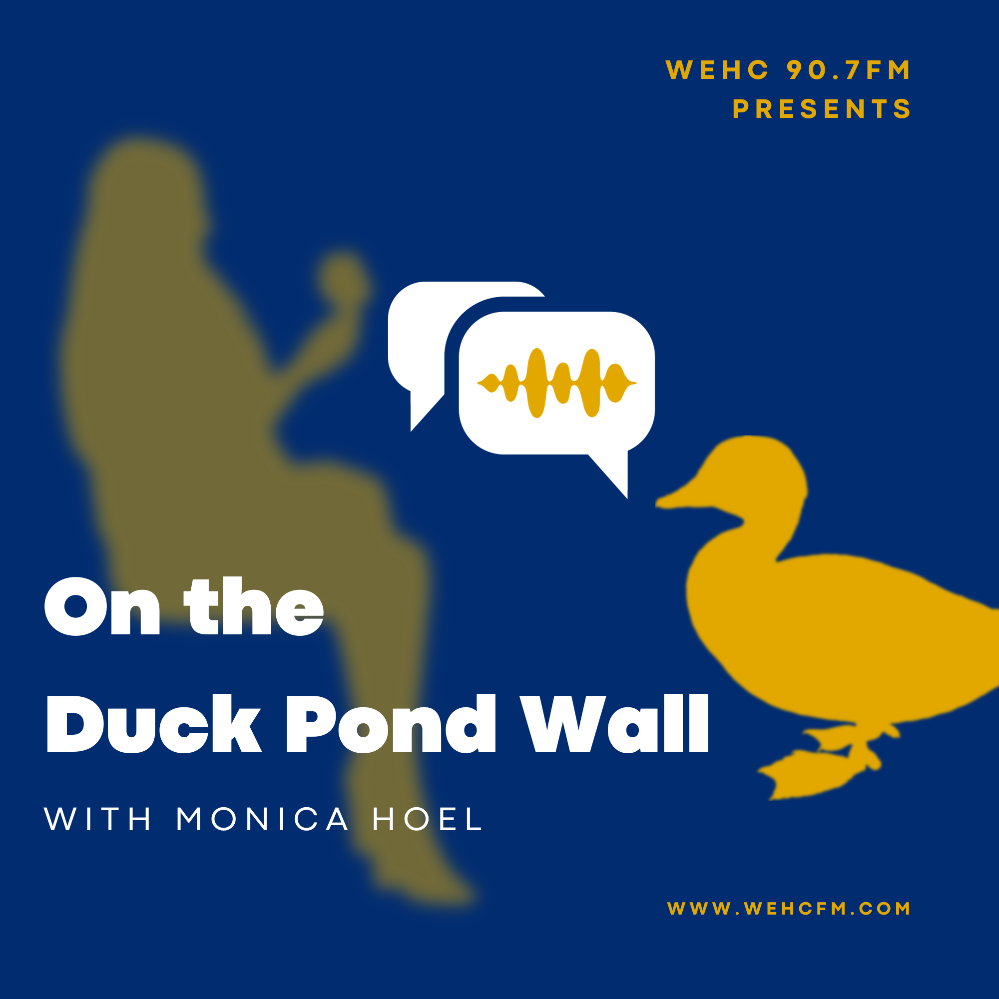 Artwork for podcast The Duck Pond Wall