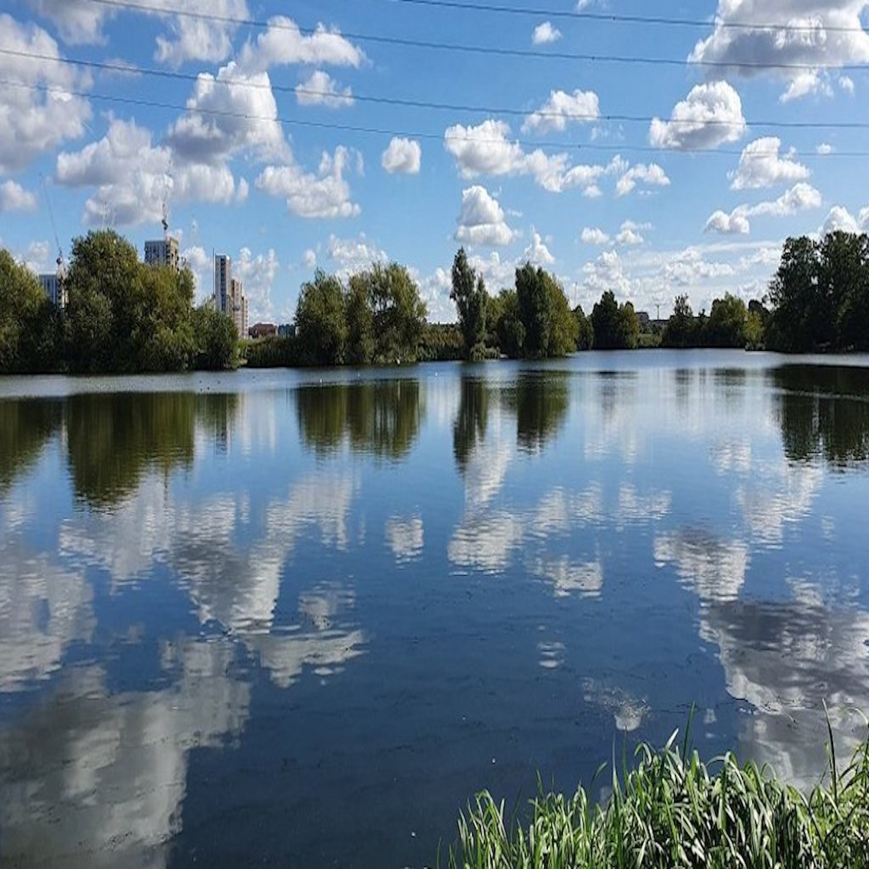 London's Wildest Places Walthamstow Wetlands Part One