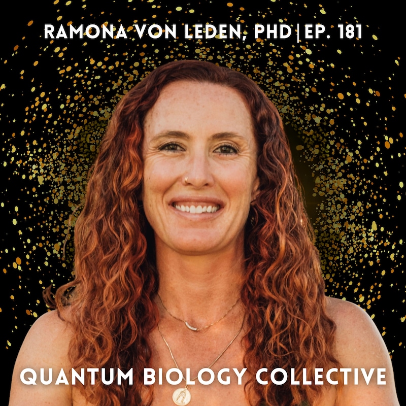 Artwork for podcast The Quantum Biology Collective Podcast